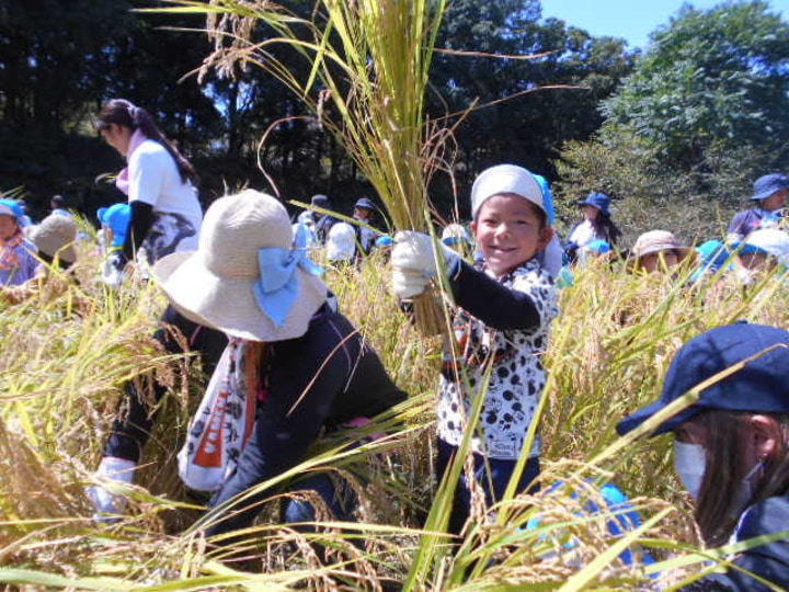 学校法人アゼリー学園　なぎさ幼稚園