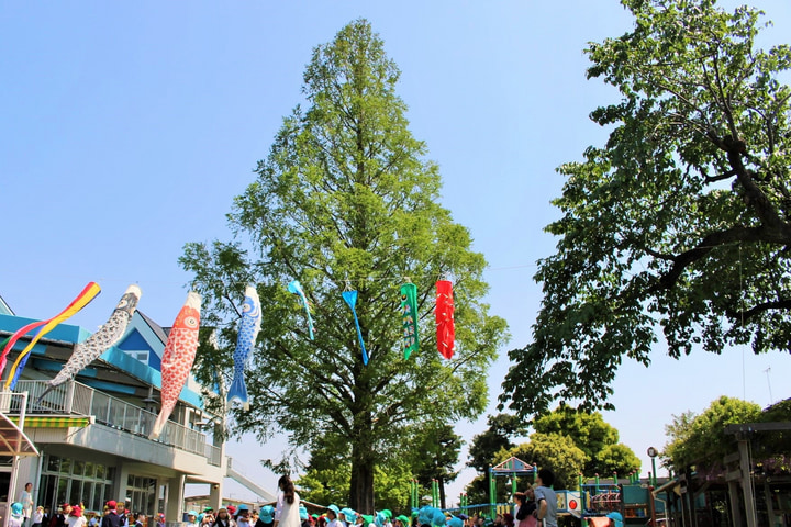 相模林間幼稚園