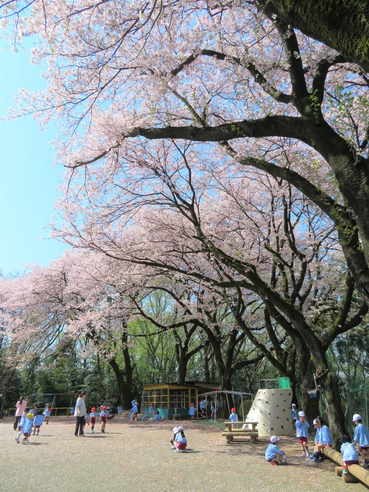 慶泉幼稚園